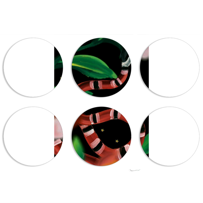 Магнитные фотопазлы круги d55 набор 6 штук Red Snake