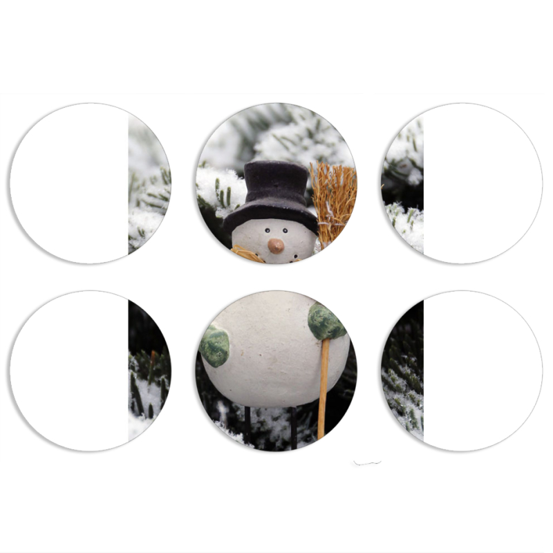 Магнитные фотопазлы круги d55 набор 6 штук 