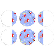 Магнитные фотопазлы круги d55 набор 6 штук 