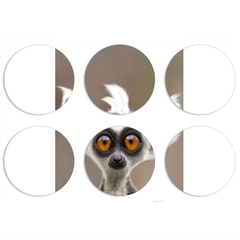 Магнитные фотопазлы круги d55 набор 6 штук 