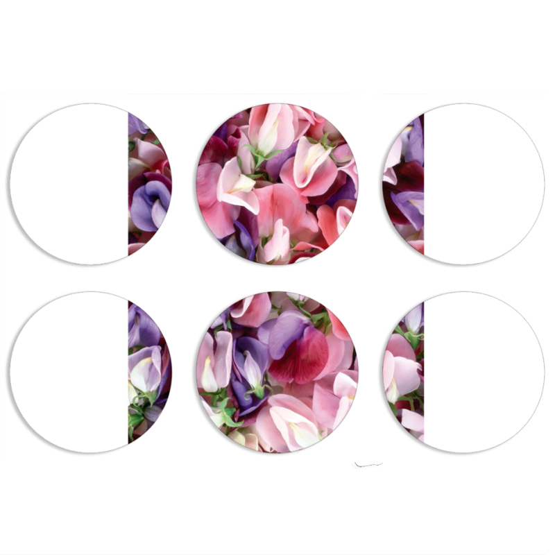 Магнитные фотопазлы круги d55 набор 6 штук 