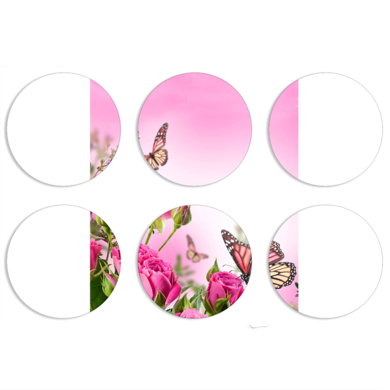 Магнитные фотопазлы круги d55 набор 6 штук 