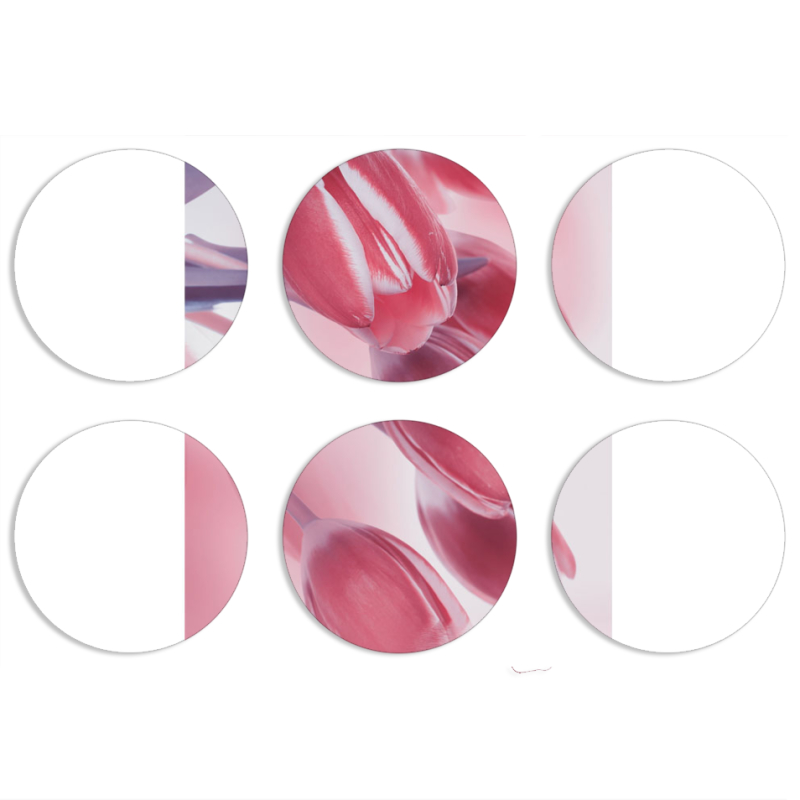 Магнитные фотопазлы круги d55 набор 6 штук 