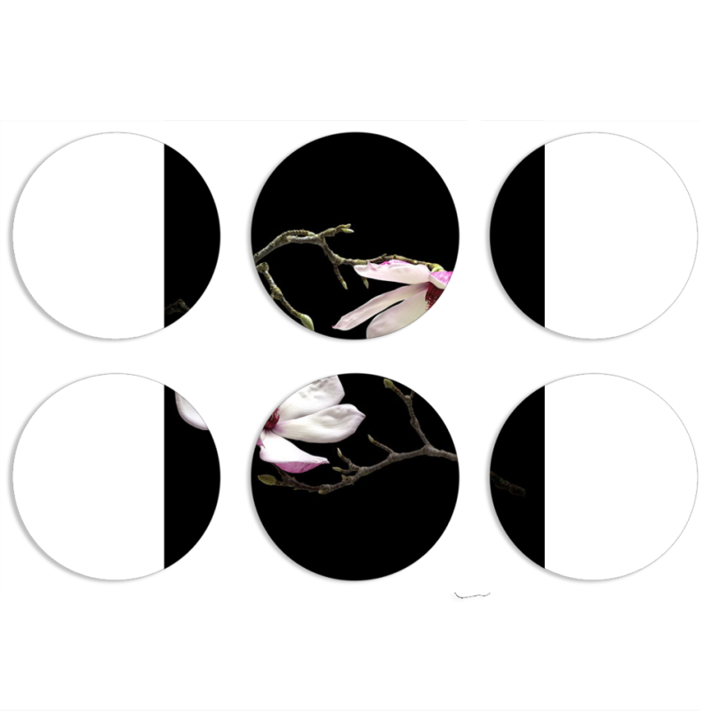 Магнитные фотопазлы круги d55 набор 6 штук Ночные Магнолии