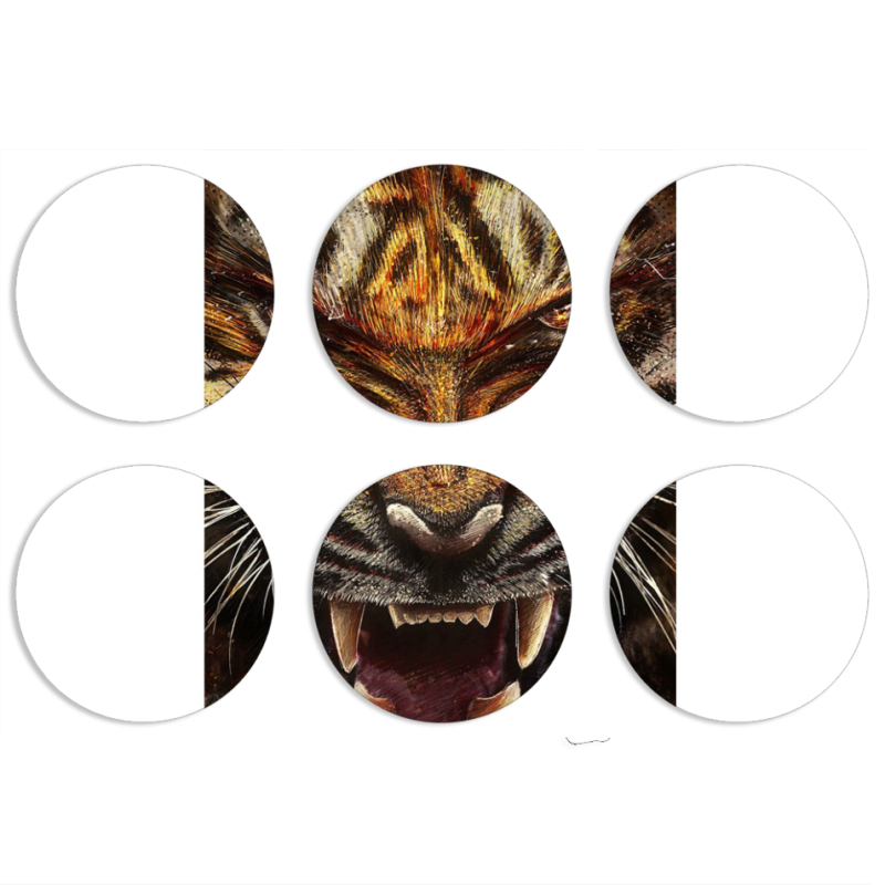 Магнитные фотопазлы круги d55 набор 6 штук 