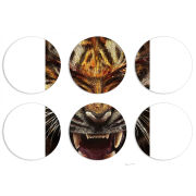 Магнитные фотопазлы круги d55 набор 6 штук 