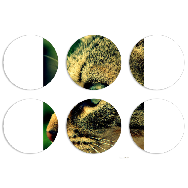 Магнитные фотопазлы круги d55 набор 6 штук 