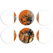 Магнитные фотопазлы круги d55 набор 6 штук 