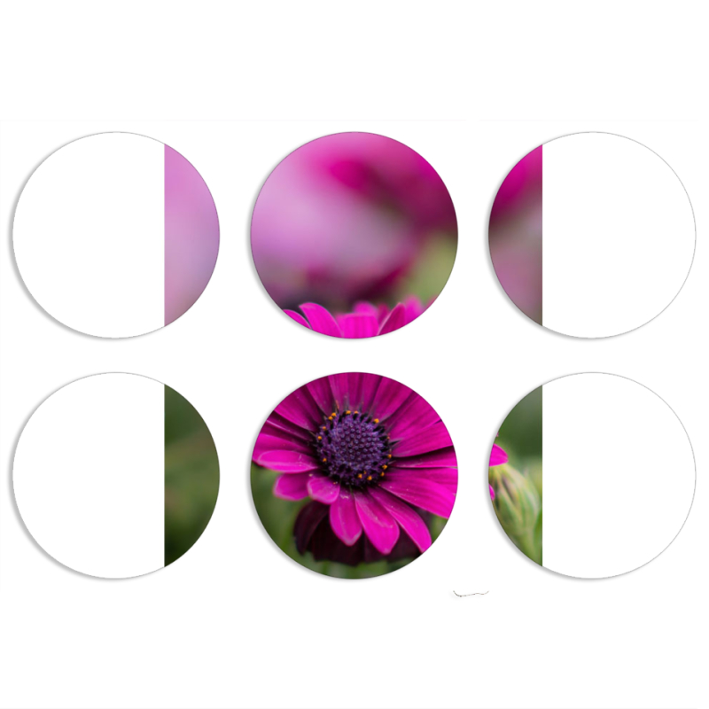 Магнитные фотопазлы круги d55 набор 6 штук 