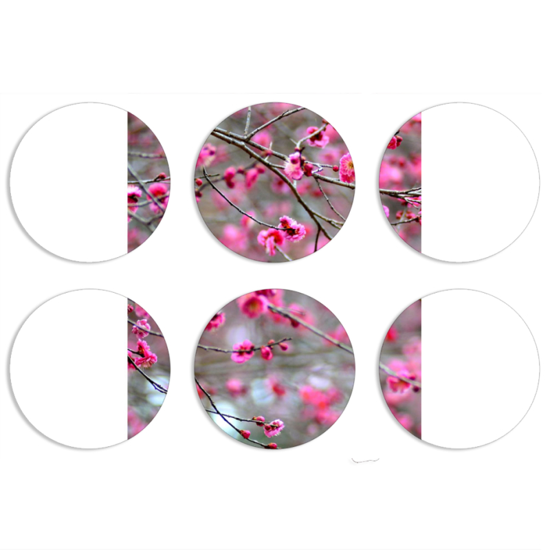 Магнитные фотопазлы круги d55 набор 6 штук 