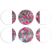 Магнитные фотопазлы круги d55 набор 6 штук 