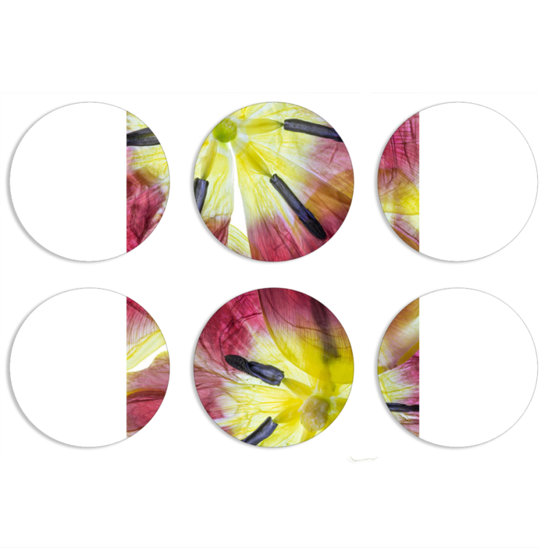 Магнитные фотопазлы круги d55 набор 6 штук 