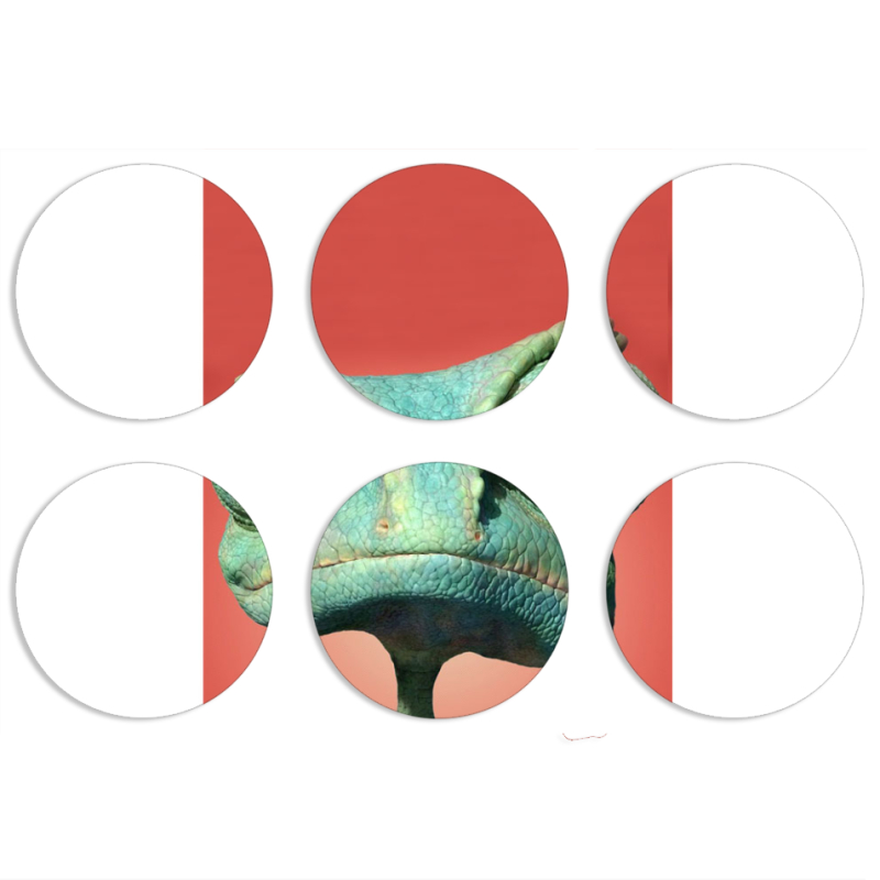 Магнитные фотопазлы круги d55 набор 6 штук 
