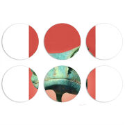 Магнитные фотопазлы круги d55 набор 6 штук 