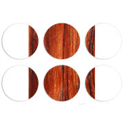 Магнитные фотопазлы круги d55 набор 6 штук 