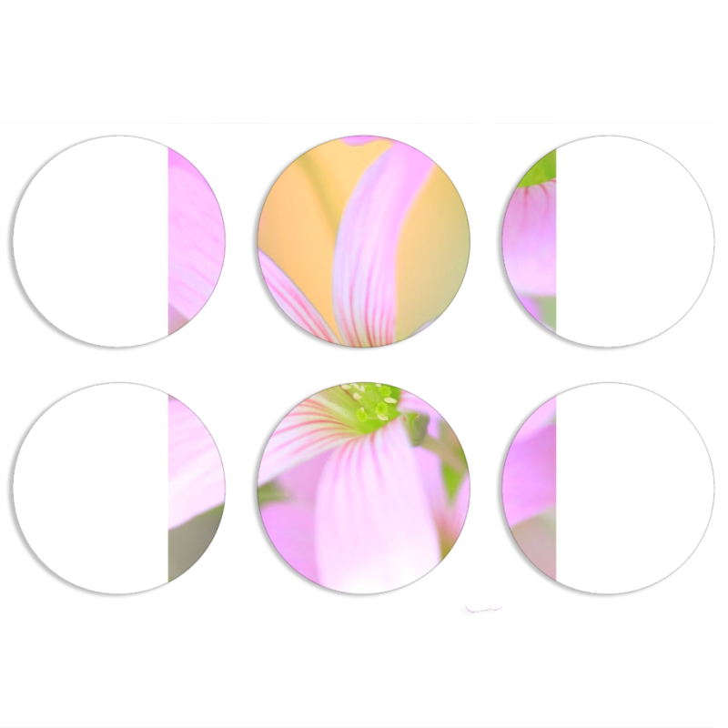 Магнитные фотопазлы круги d55 набор 6 штук 