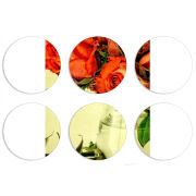 Магнитные фотопазлы круги d55 набор 6 штук 