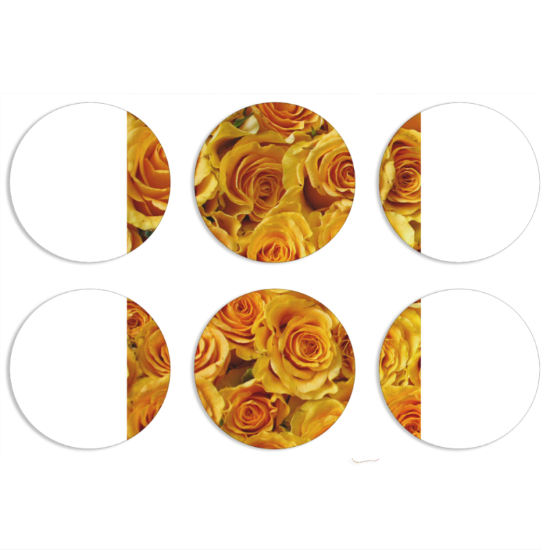 Магнитные фотопазлы круги d55 набор 6 штук 