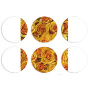 Магнитные фотопазлы круги d55 набор 6 штук 