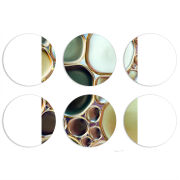 Магнитные фотопазлы круги d55 набор 6 штук 