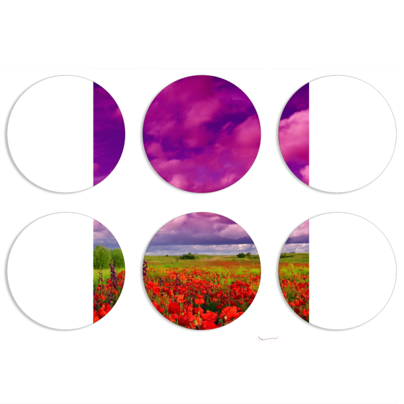 Магнитные фотопазлы круги d55 набор 6 штук 