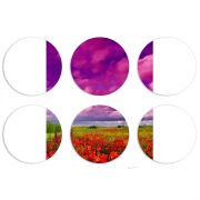 Магнитные фотопазлы круги d55 набор 6 штук 