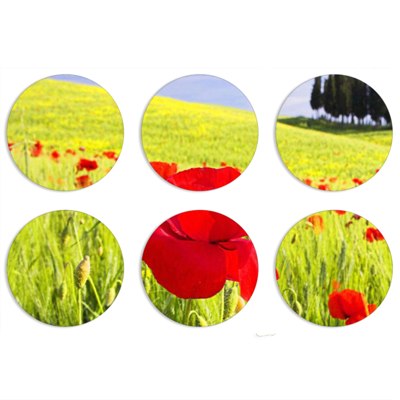 Магнитные фотопазлы круги d55 набор 6 штук Мак