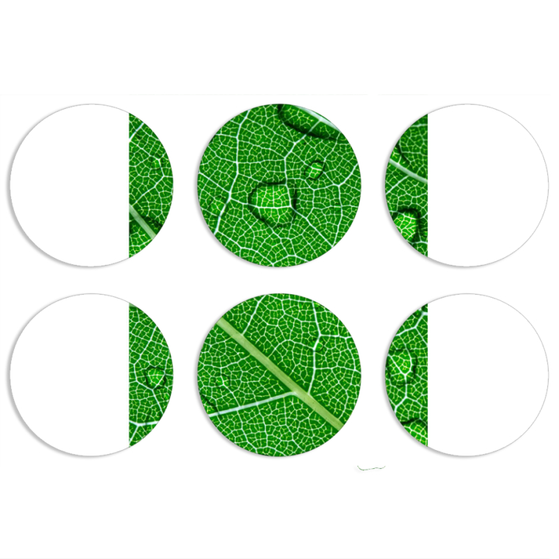 Магнитные фотопазлы круги d55 набор 6 штук 