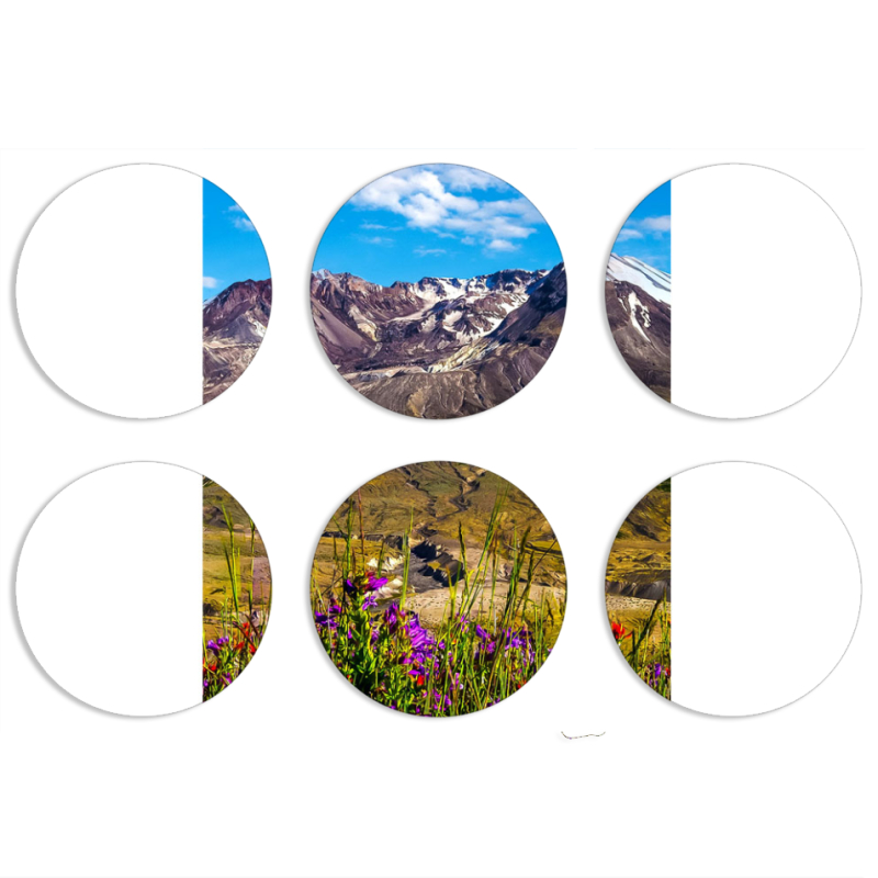 Магнитные фотопазлы круги d55 набор 6 штук 