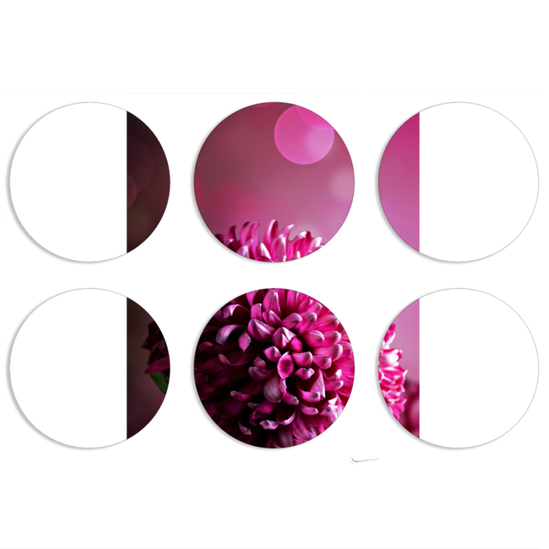 Магнитные фотопазлы круги d55 набор 6 штук 