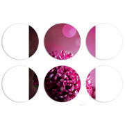 Магнитные фотопазлы круги d55 набор 6 штук 