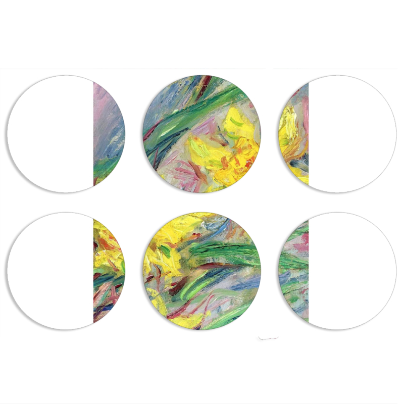 Магнитные фотопазлы круги d55 набор 6 штук 