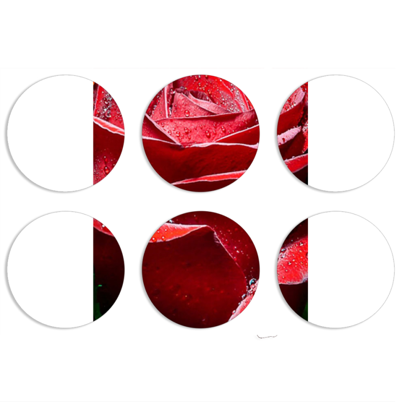 Магнитные фотопазлы круги d55 набор 6 штук 