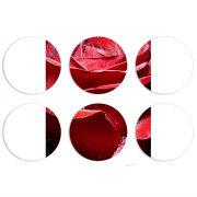 Магнитные фотопазлы круги d55 набор 6 штук 