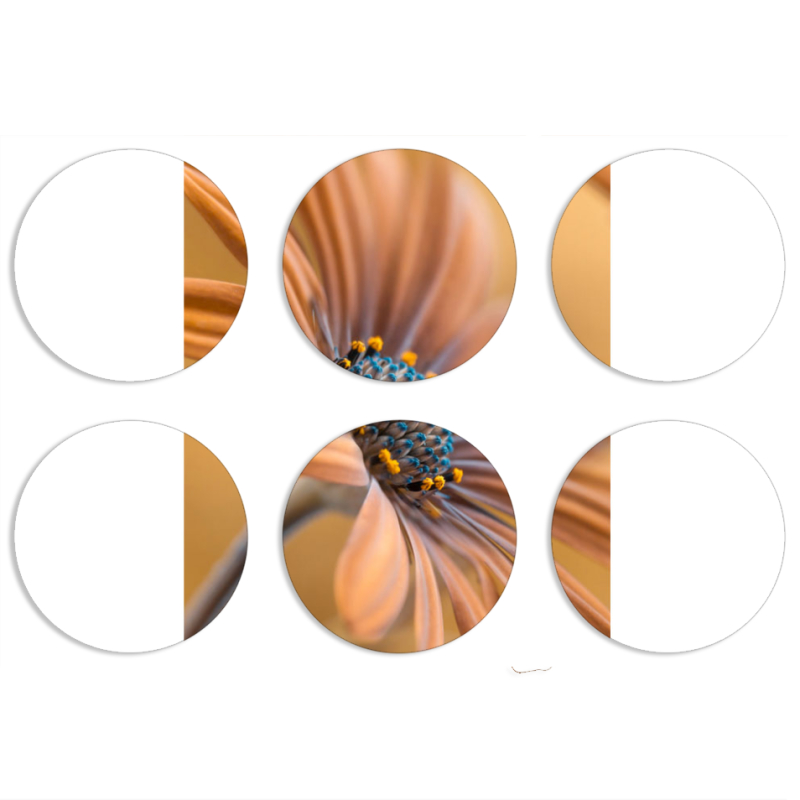 Магнитные фотопазлы круги d55 набор 6 штук 