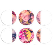 Магнитные фотопазлы круги d55 набор 6 штук 