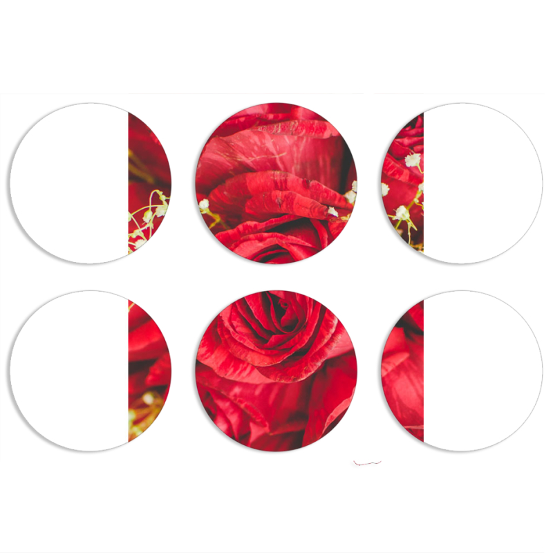 Магнитные фотопазлы круги d55 набор 6 штук 