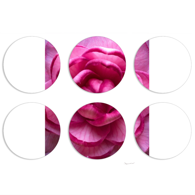 Магнитные фотопазлы круги d55 набор 6 штук 