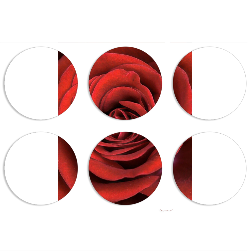 Магнитные фотопазлы круги d55 набор 6 штук 