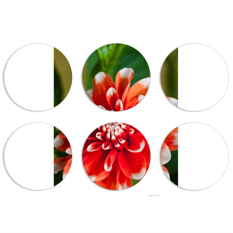 Магнитные фотопазлы круги d55 набор 6 штук 