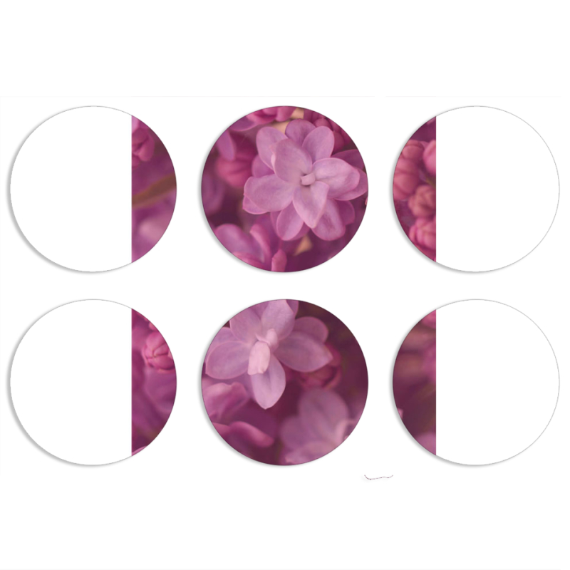 Магнитные фотопазлы круги d55 набор 6 штук 