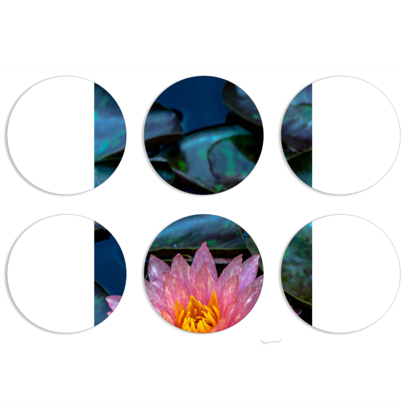 Магнитные фотопазлы круги d55 набор 6 штук 