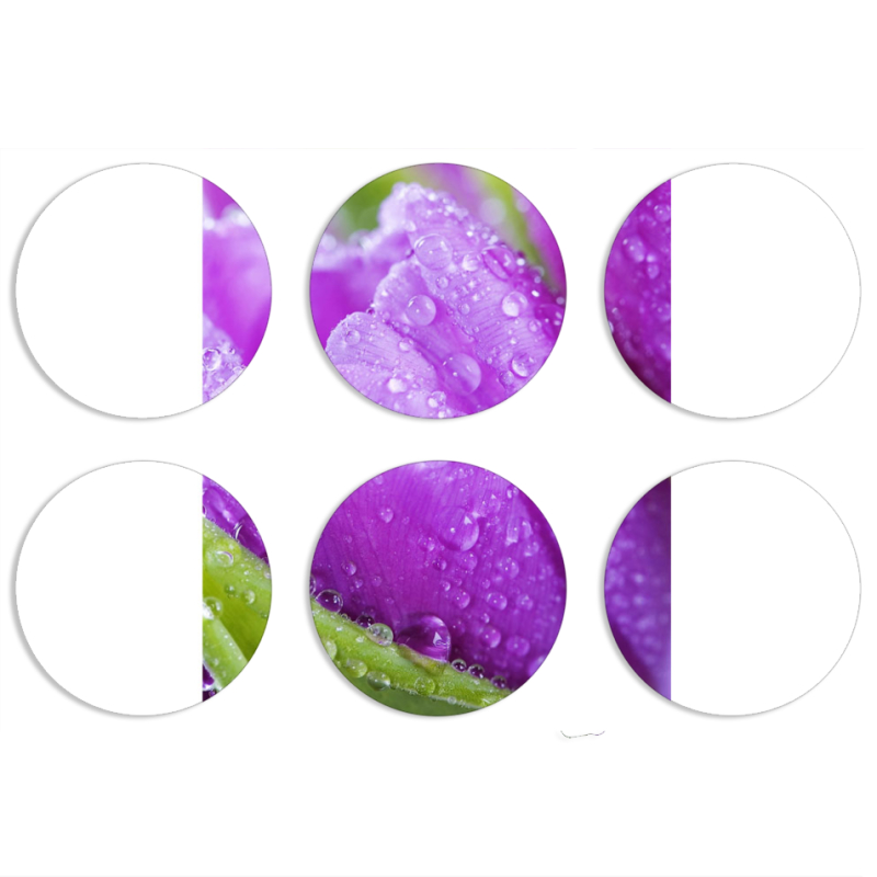 Магнитные фотопазлы круги d55 набор 6 штук 