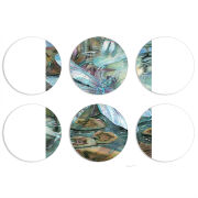 Магнитные фотопазлы круги d55 набор 6 штук 