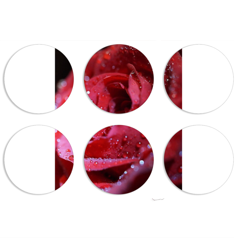 Магнитные фотопазлы круги d55 набор 6 штук 