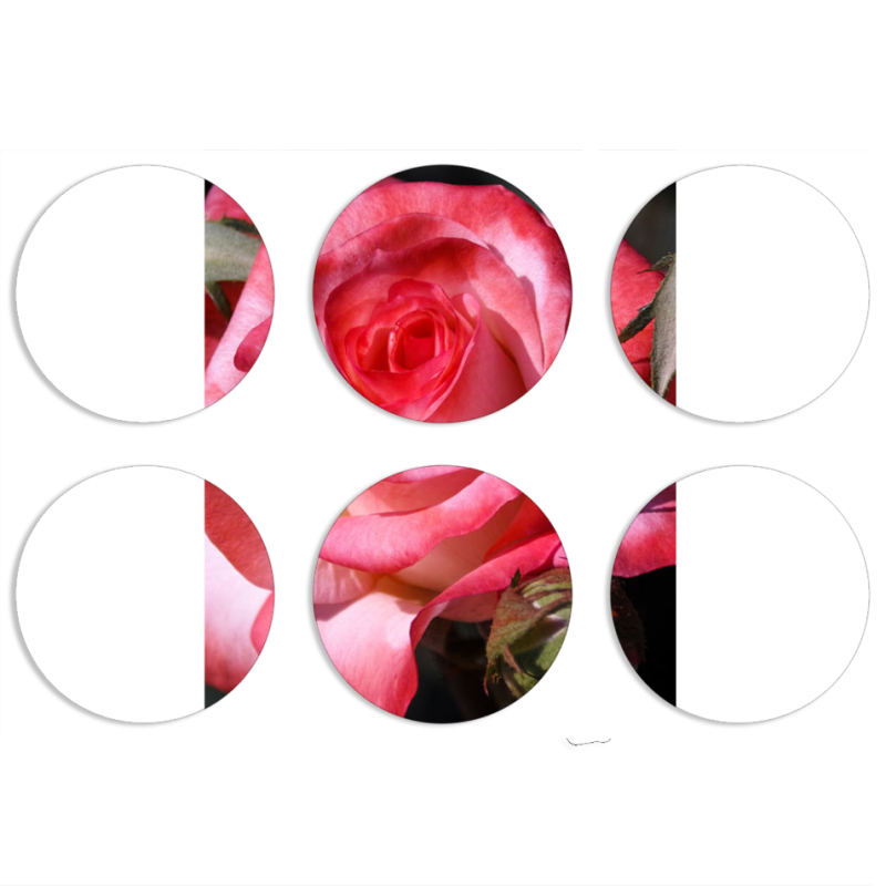 Магнитные фотопазлы круги d55 набор 6 штук 