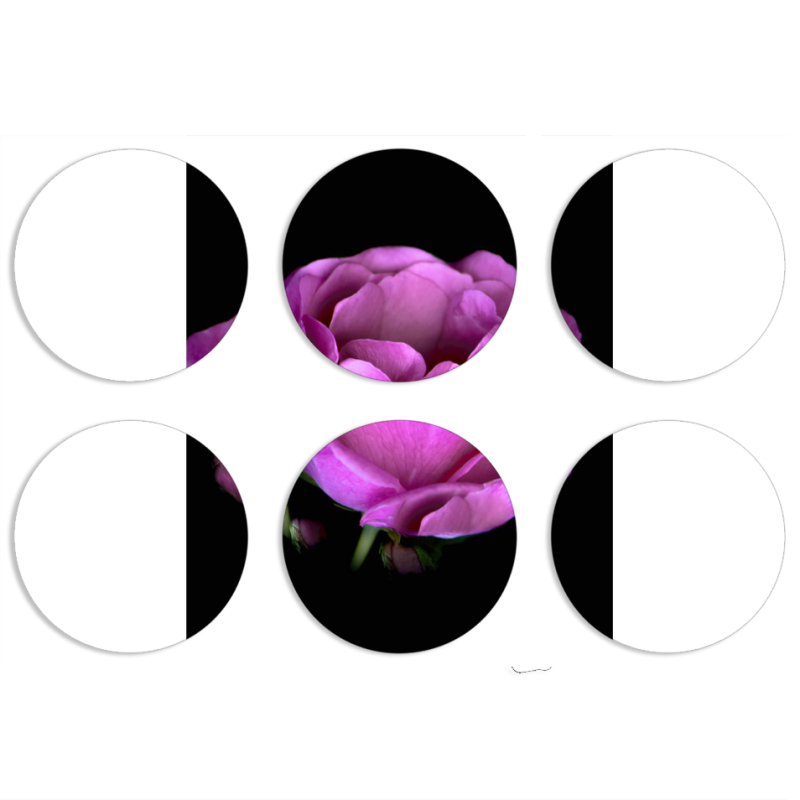 Магнитные фотопазлы круги d55 набор 6 штук 