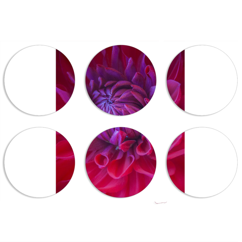 Магнитные фотопазлы круги d55 набор 6 штук 