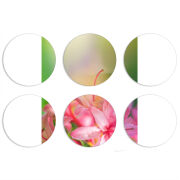 Магнитные фотопазлы круги d55 набор 6 штук 