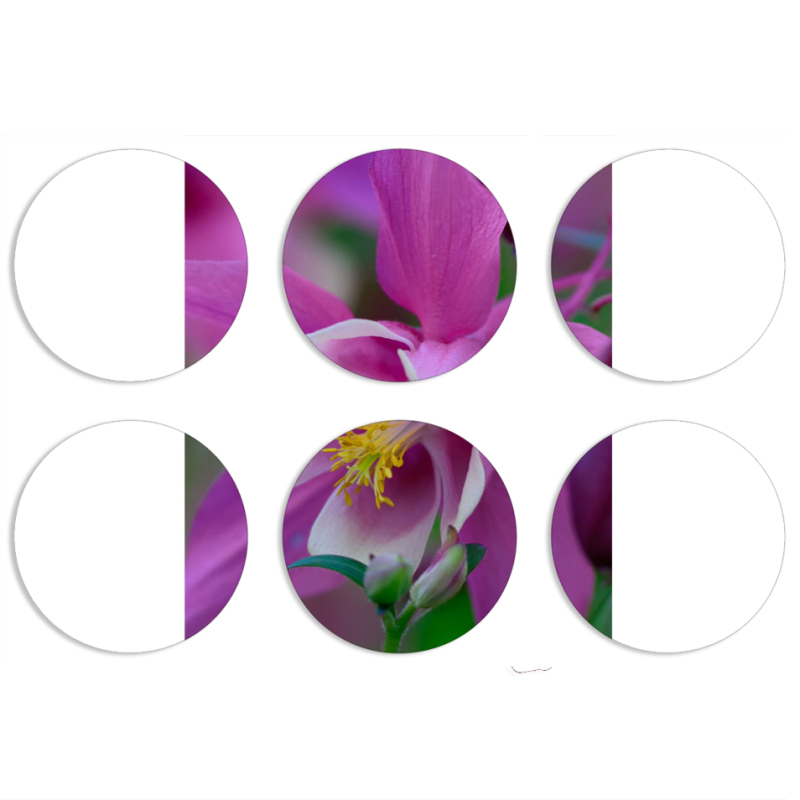 Магнитные фотопазлы круги d55 набор 6 штук 